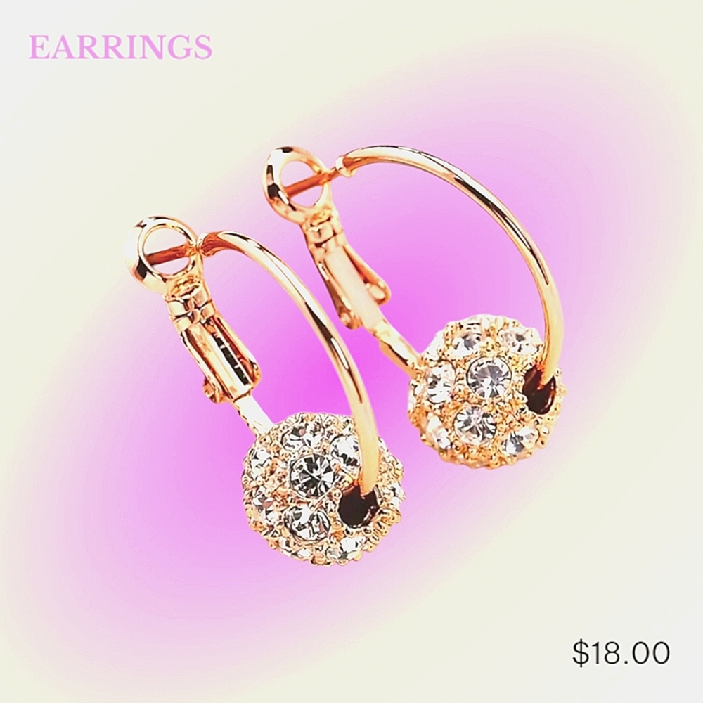 Fashionable Earrings w/ Zirconia Paved Stones